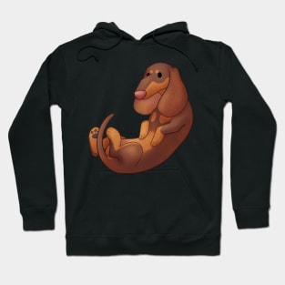 Cozy Dachshund Hoodie